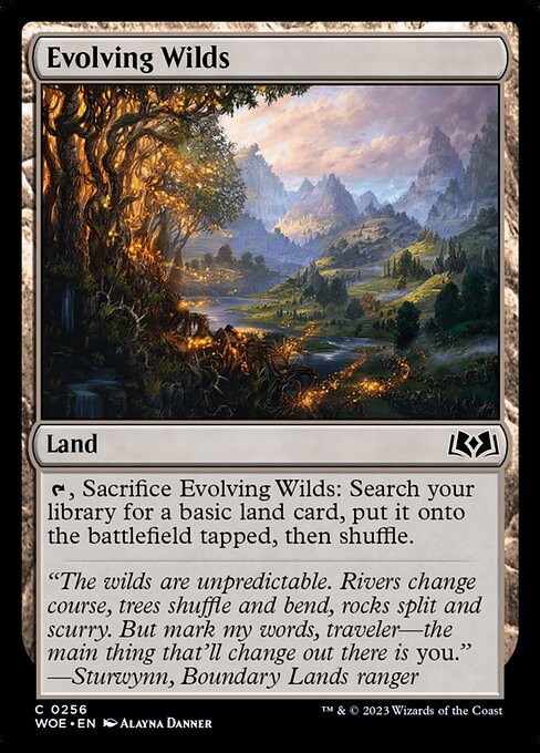 WOE, Evolving Wilds, Standard, 256, C, Near Mint, Normal, EN