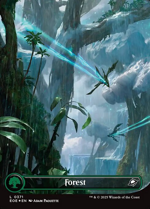EOE, Forest, (Borderless), 371, C, Near Mint, (Foil), EN