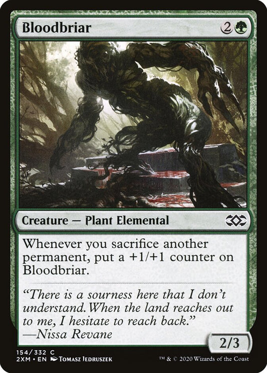 2XM, Bloodbriar, Standard, 154, C, Near Mint, (Foil), EN