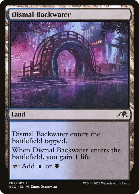 NEO, Dismal Backwater, Standard, 267, C, Near Mint, Normal, EN